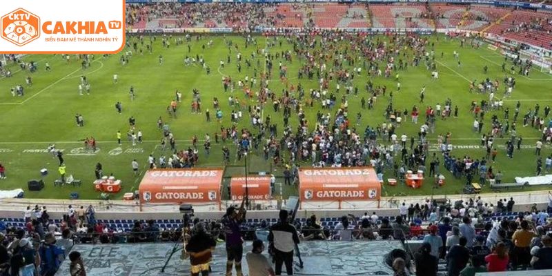 Lý do nên chọn xem trực tiếp tại VĐQG Mexico Liga MX