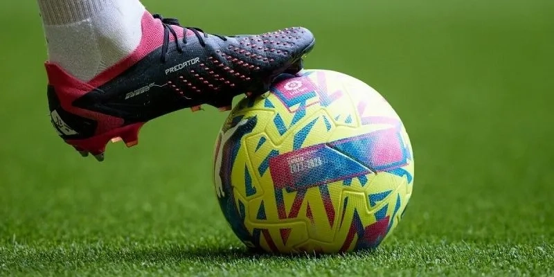 lưu ý quan trọng cho người mới